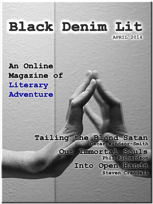 cover image of Black Denim Lit #3